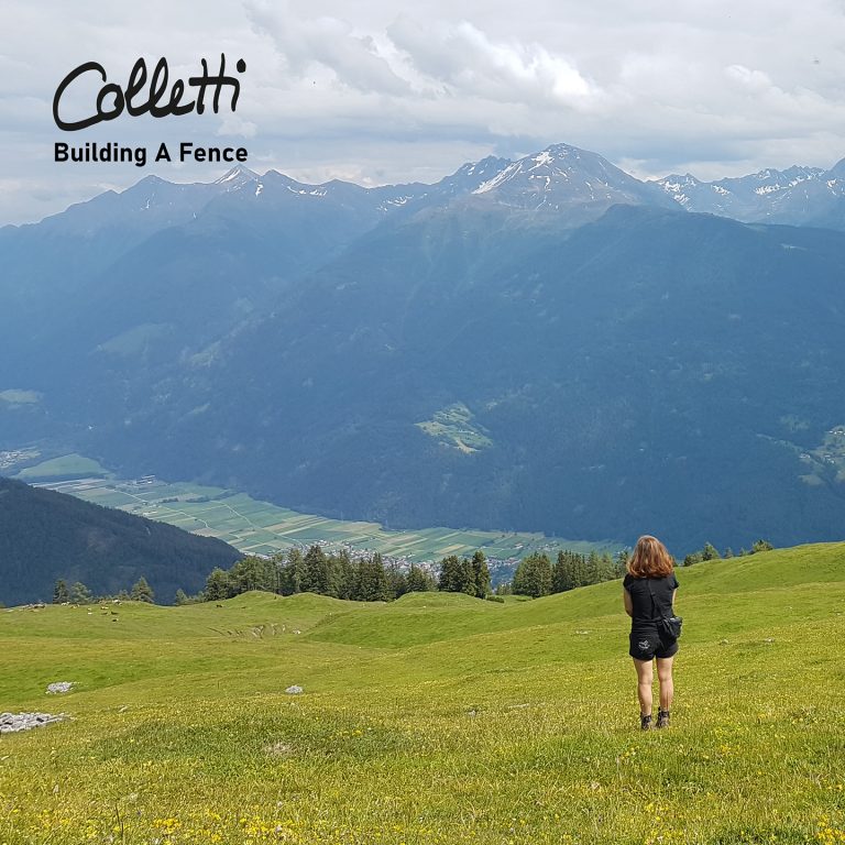 COLLETTI: Debut single out today